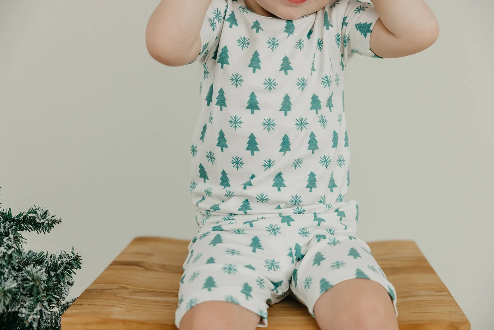 2pc Short Sleeve Pajama Set - Alps
