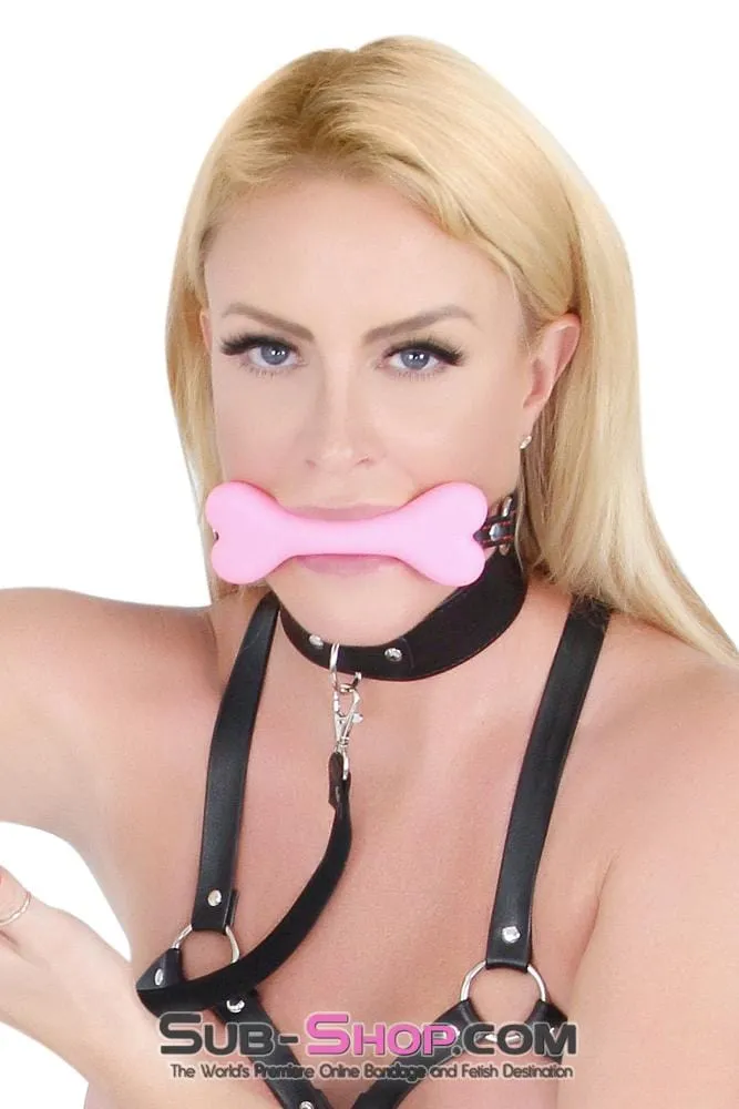 7831DL      I Will Follow You Collar and Leash Set - MEGA Deal