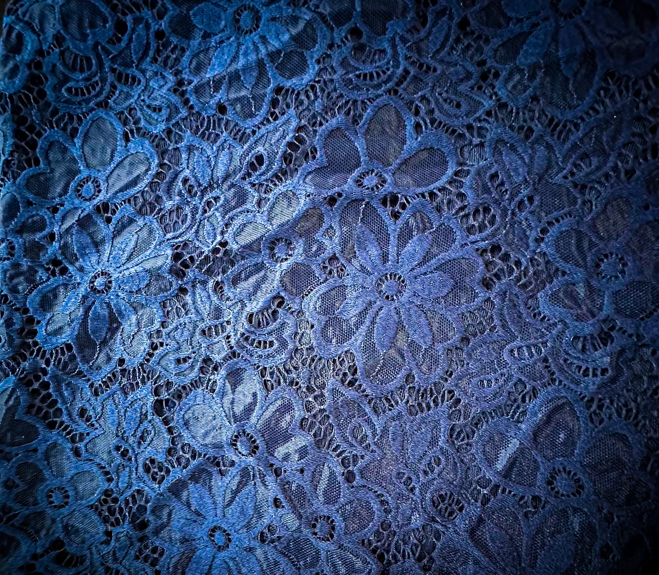 Adult Lace Denim Shorts