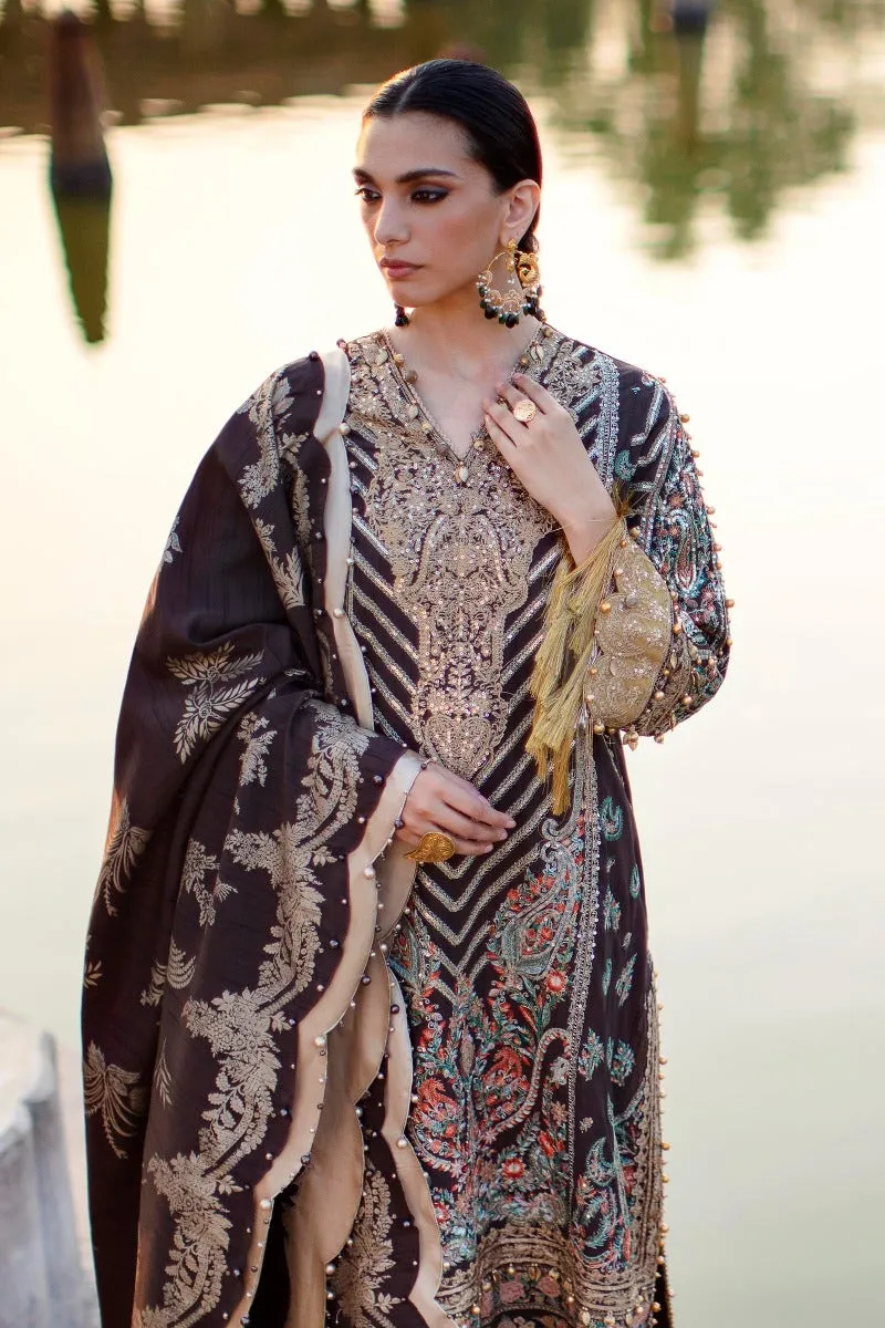 Brown Heavily Embellished Long Pakistani Salwar Kameez Suit Dupatta