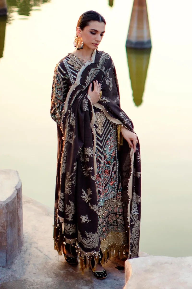 Brown Heavily Embellished Long Pakistani Salwar Kameez Suit Dupatta