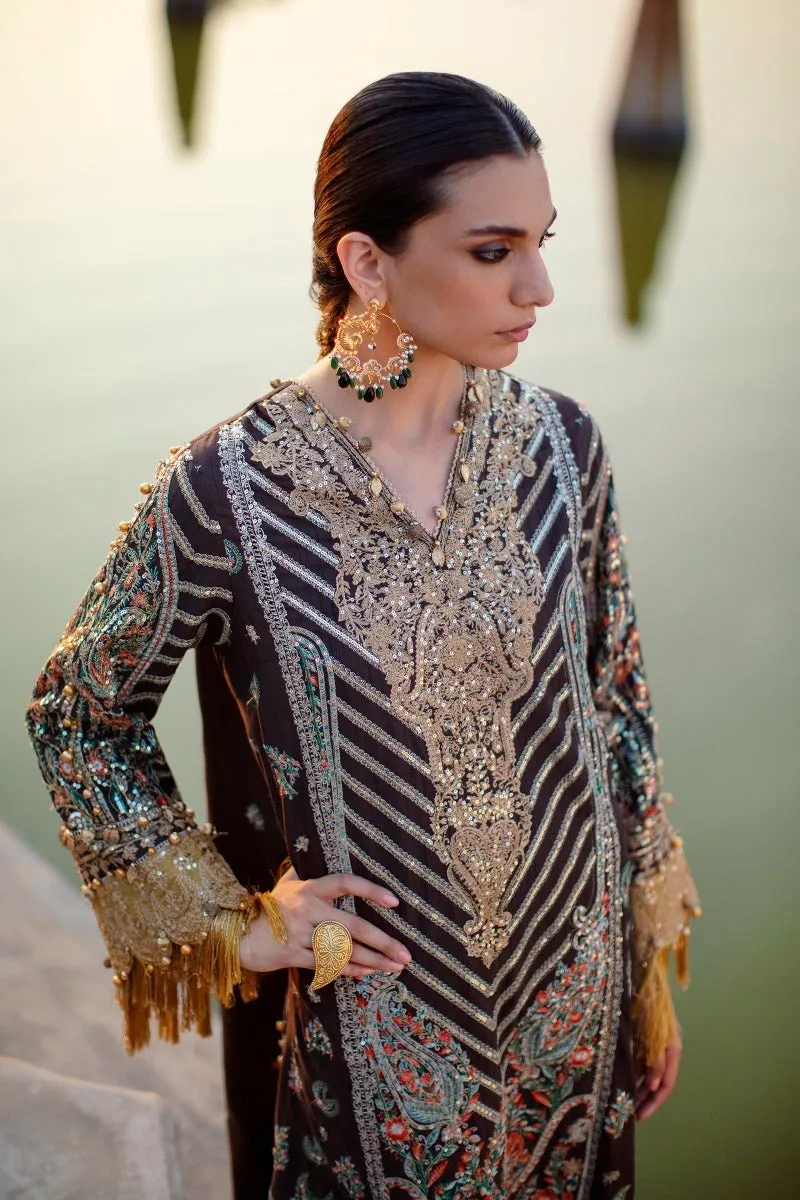 Brown Heavily Embellished Long Pakistani Salwar Kameez Suit Dupatta