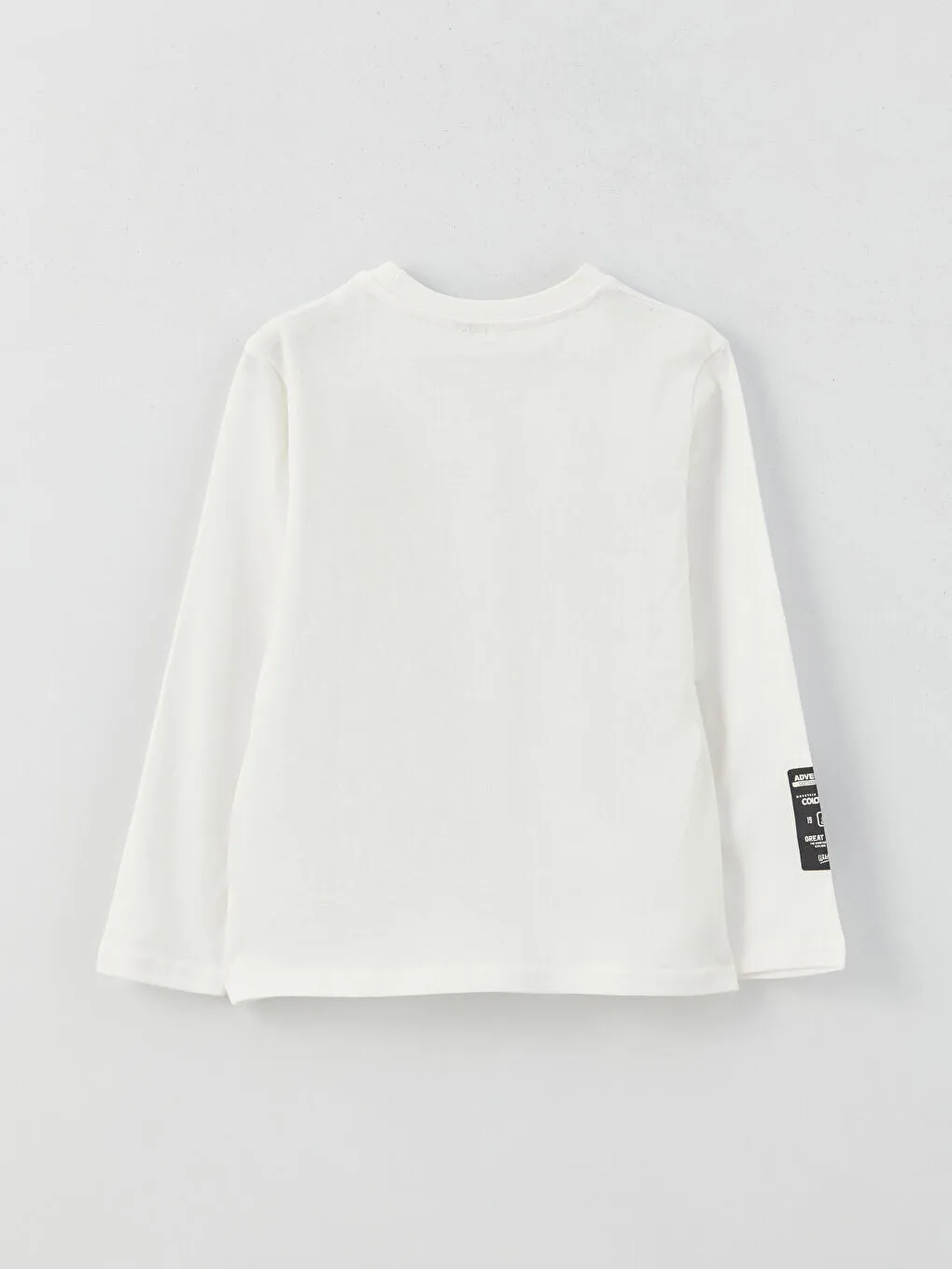 Crew Neck Printed Long Sleeve Boys' T-Shirt