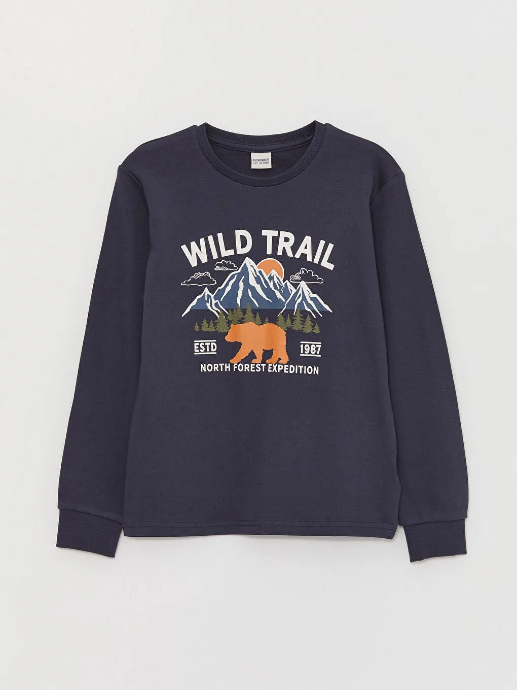 Crew Neck Printed Long Sleeve Boys' T-Shirt