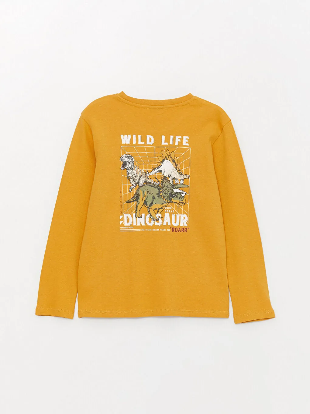 Crew Neck Printed Long Sleeve Boys' T-Shirt