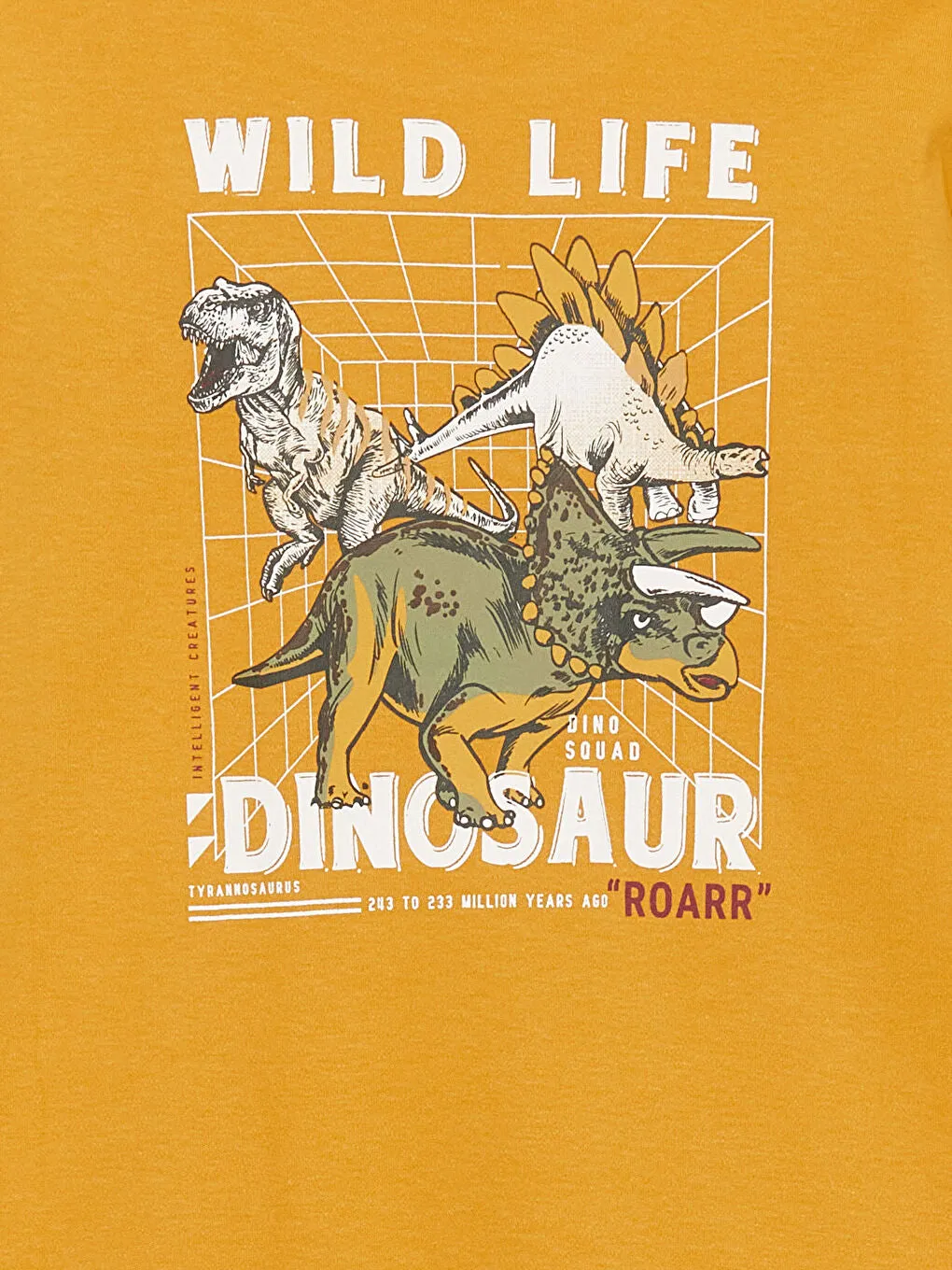 Crew Neck Printed Long Sleeve Boys' T-Shirt