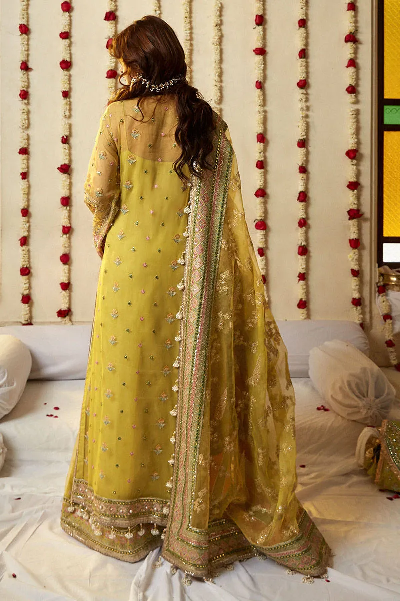 Royal Mehndi Dress in Embellished Kameez Trouser Style